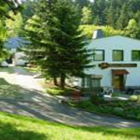 Pension Waldidyll Stützerbach Esterno foto