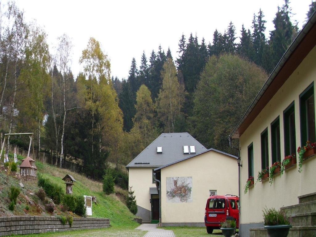 Pension Waldidyll Stützerbach Esterno foto