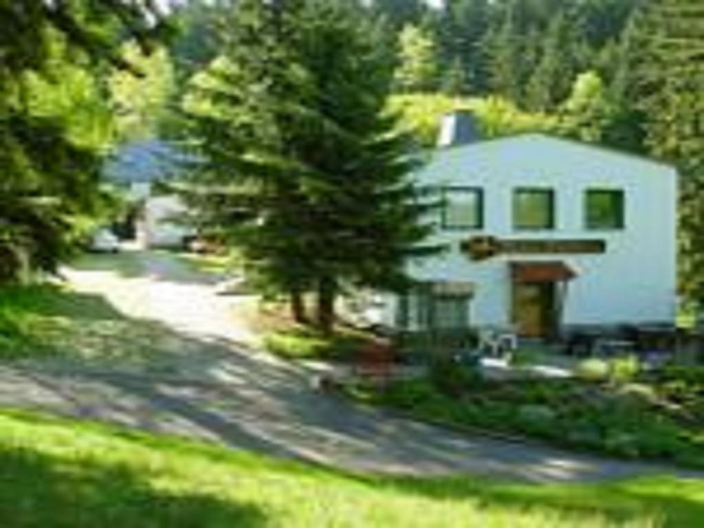 Pension Waldidyll Stützerbach Esterno foto