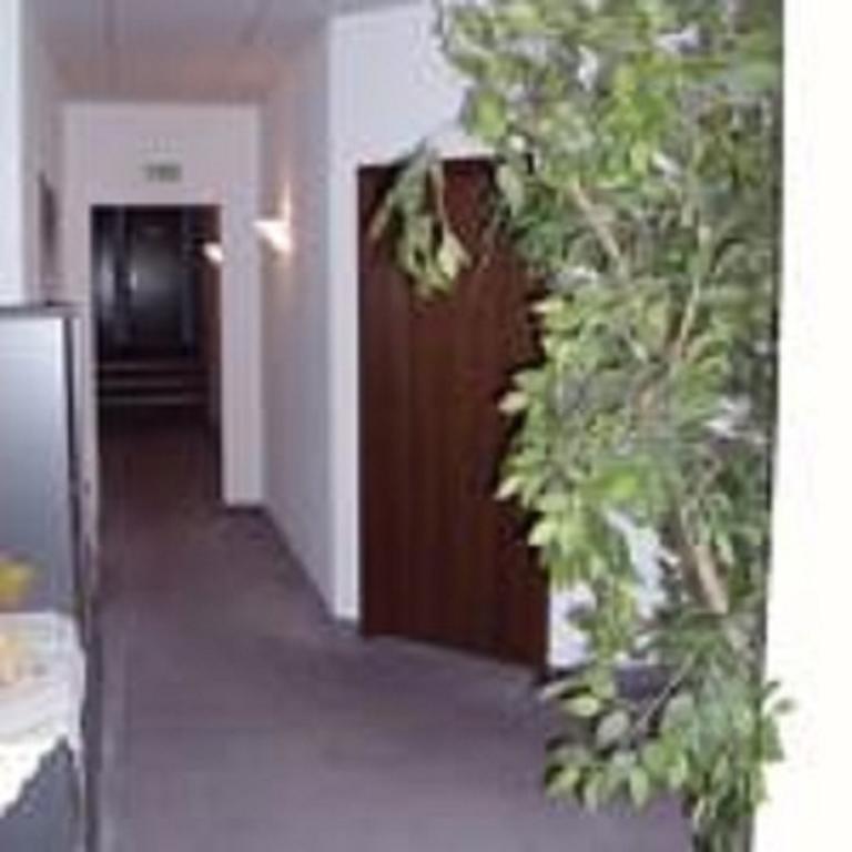 Pension Waldidyll Stützerbach Esterno foto
