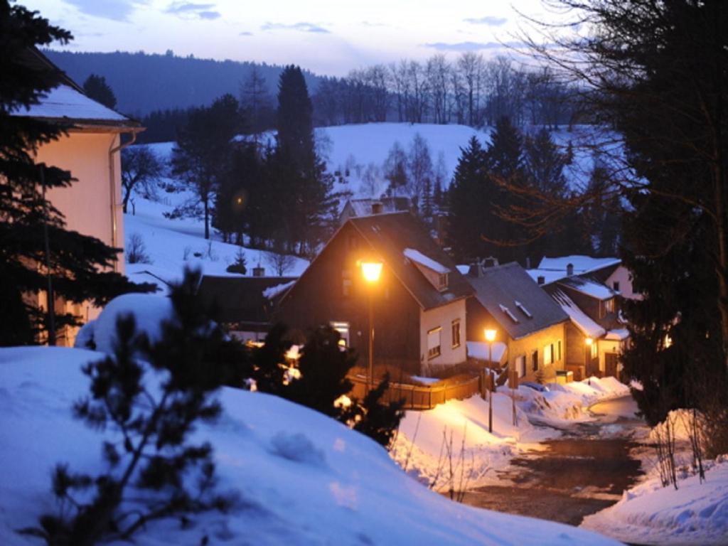 Pension Waldidyll Stützerbach Esterno foto