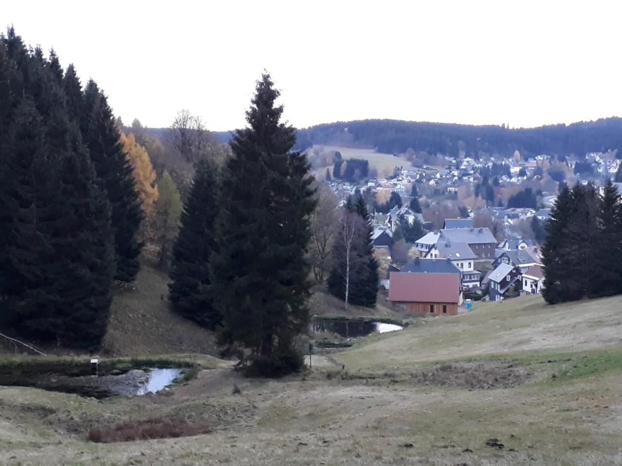 Pension Waldidyll Stützerbach Esterno foto
