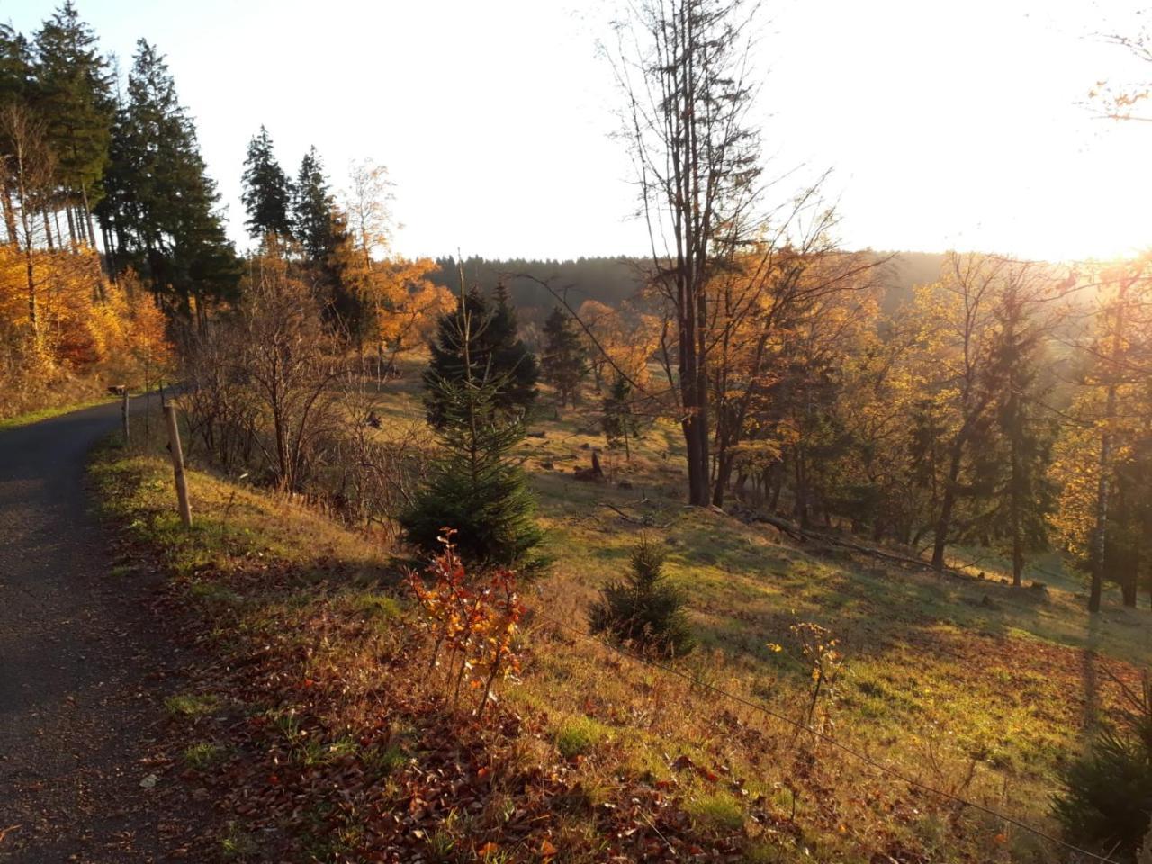 Pension Waldidyll Stützerbach Esterno foto