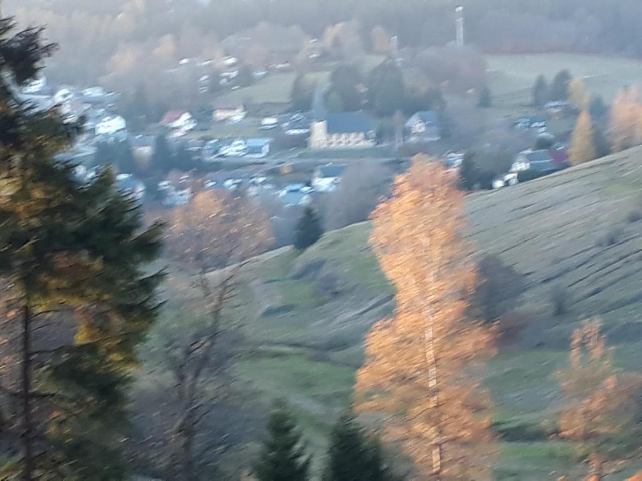 Pension Waldidyll Stützerbach Esterno foto