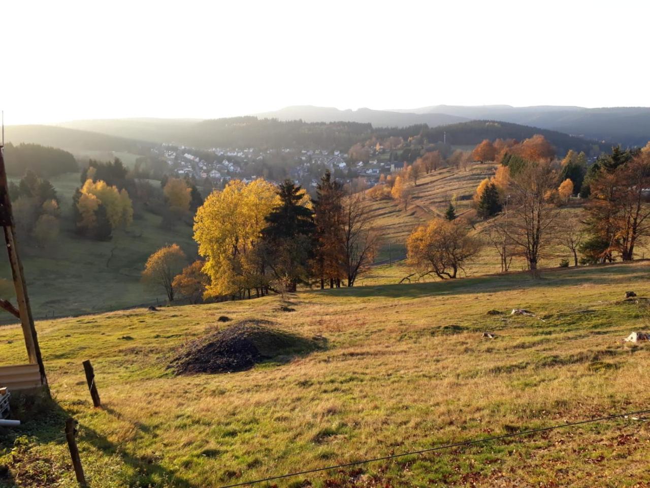 Pension Waldidyll Stützerbach Esterno foto