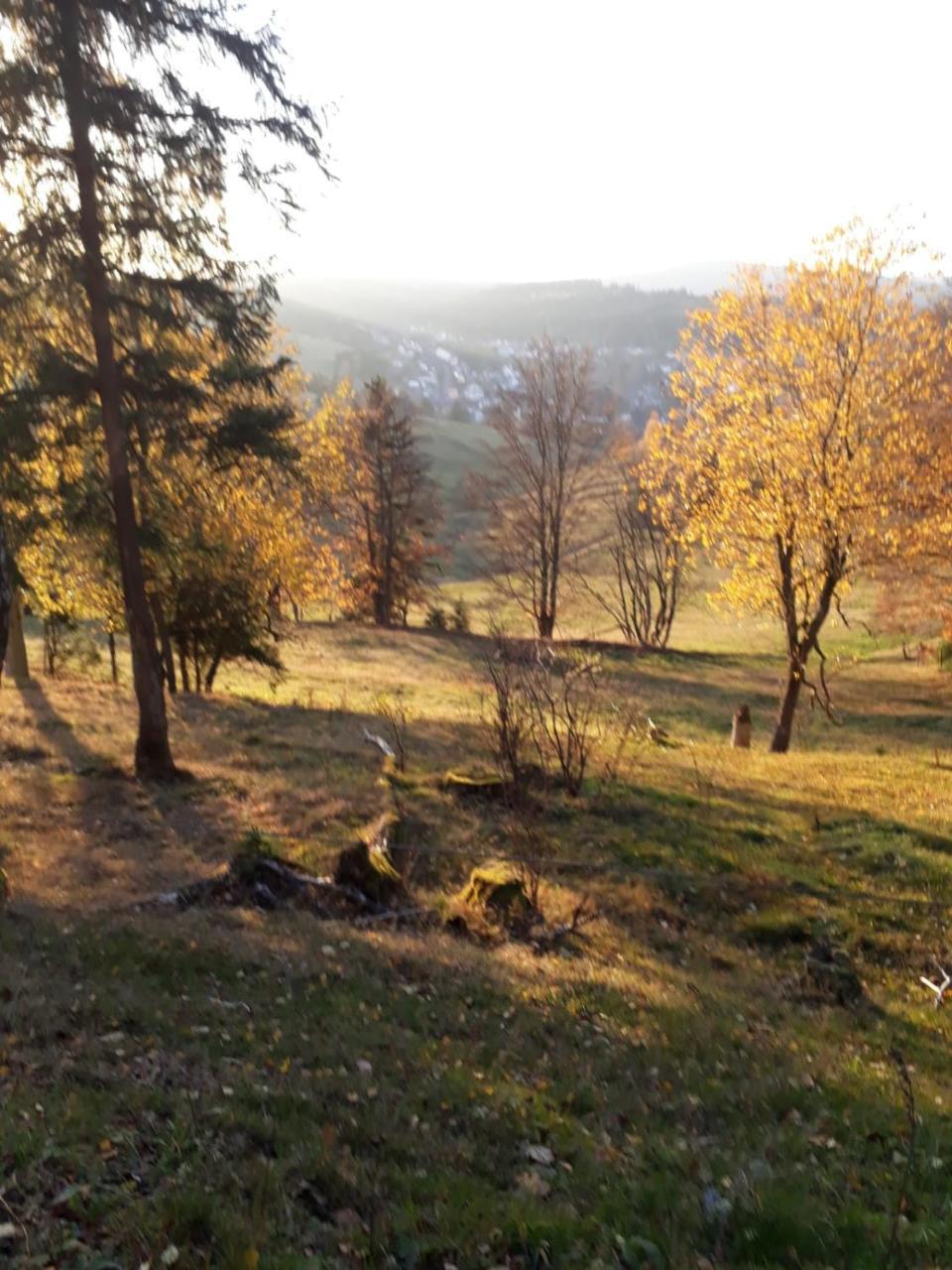 Pension Waldidyll Stützerbach Esterno foto