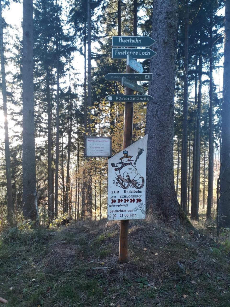 Pension Waldidyll Stützerbach Esterno foto